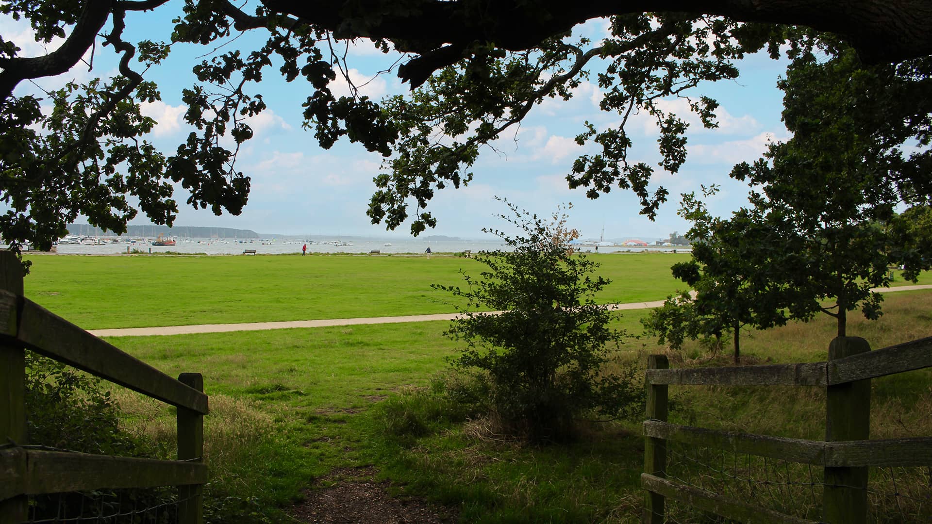 Whitecliff